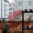 문경새재카페 &#39;카페승민씨&#39; 맷돌커피맛집