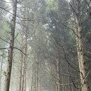 5코스 안내소 | 제주 거문오름 예약 및 코스 소요시간 총정리 (1코스 후기, 숙소 추천)