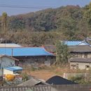 초록빛 태양광발전소 이미지