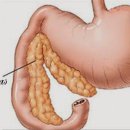 어울동물의료센터 이미지