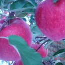 산마루농장 이미지