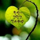 늘 이미지