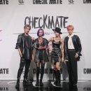 체크메이트 이미지