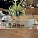 창원카페추천 빌로위커피 billowy coffee 디저트 맛집