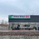 속초아바이냉면 이미지