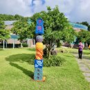 신효동 하귤나무 이미지