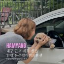 경남 : 함양 | 함양 계곡 펜션 추천 대구 근교 물놀이 하기 좋은 용추계곡 옆 용추밸리캠프펜션