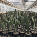 혜미농장 이미지