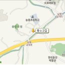 황소고집 이미지