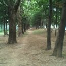 체육공원약수터 이미지