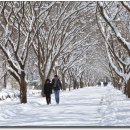 ﻿2월 2일 목요일 / 복받은 남자 / 최성민 이미지