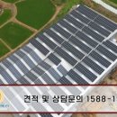 햇빛잘받는 태양광발전소 이미지