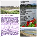 강가의 추억 이미지