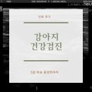엘동물병원 네이버블로그