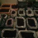 수지농장 이미지