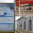 천수만해상낚시공원 티스토리