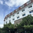 헤이, 서귀포 | [제주] 서귀포 가성비 숙소 올레시장 근처 &#39;헤이서귀포&#39; 장점단점 후기