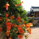 김해수로왕릉 이미지