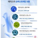피앤에이 | 노견 강아지장유산균 피앤에이랩 - 에이스 프로바이오틱스 | 국내최초 하우아유 균주 함유