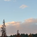 스카이 관광 호스텔 이미지