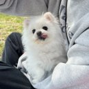 아기천사펜션