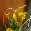 화정어린이집 이미지