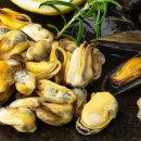 “이 시기 놓치면 1년 내내 후회한다… 전문가들도 극찬한 가을의 선물” 이미지