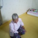 포천청