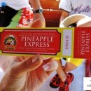 차식농장 이미지