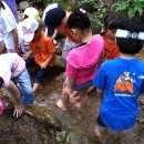 청솔초등학교 이미지