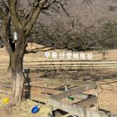 양떼목장 | [화순여행]화순 양떼목장 다녀온 후기｜아이랑 가기 좋은 전남 여행지