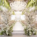 썬타운 웨딩 홀 앞 횡단보도 | 부산 홀투어 후기 국민연금웨딩홀 컨벤션홀(27년 견적 공유)