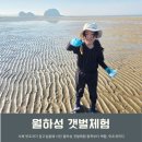 월하성어촌체험휴양마을 | 서천 월하성 갯벌체험장 맛조개 잡는방법 동죽 서해 갯벌체험 준비물