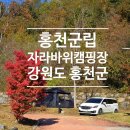 홍천강 자라바위 오토캠핑장 | 홍천강 자라바위 캠핑장-서울근교 가을 정취 강변 가성비 캠핑장