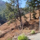 도도앤하우스 이미지