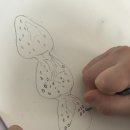 홍선생미술강서지사 이미지