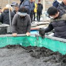 고흥 - 동대문구 | 고흥
