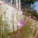 참숯고기마을 이미지