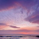 바다생각 이미지