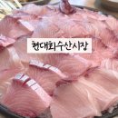푸드플러스 | 독산동 맛집 [현대회수산시장] 겨울철 대방어 중(中) 배 터짐 주의