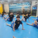 구룡태권도체육관 이미지