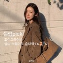 픽조이 | 셀럽이 픽한 스웨이드백 조이그라이슨 셀리 숄더백 스웨이드 추천 후기