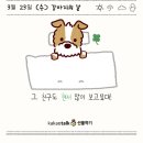 강아지톡 이미지