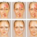 엘츠의원 이미지