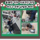 신건지동 이미지