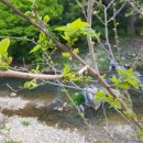 유경농장 이미지