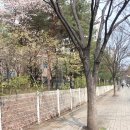 코인워시서대구지사직영점 | 크린토피아 코인워시 이불세탁 미세먼지 걱정 끝~