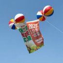국기체육관 | 2025 제22회 대저토마토축제 방문 후기