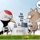 2024년6월12일 신문 이미지