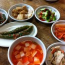 가마정 Daum카페